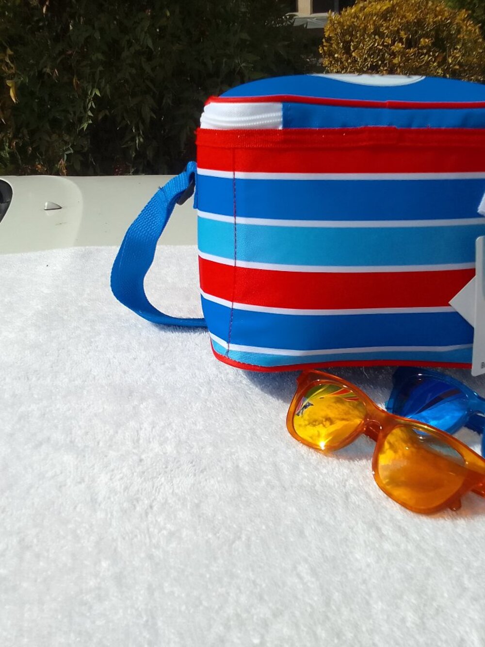 Bundle sunglasses&beach/lunch/insulated/cold-hot-control bag shoulder strape NWT